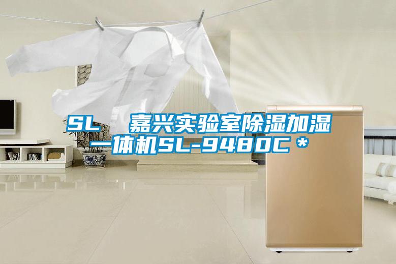 SL  嘉兴实验室除湿加湿一体机SL-9480C*