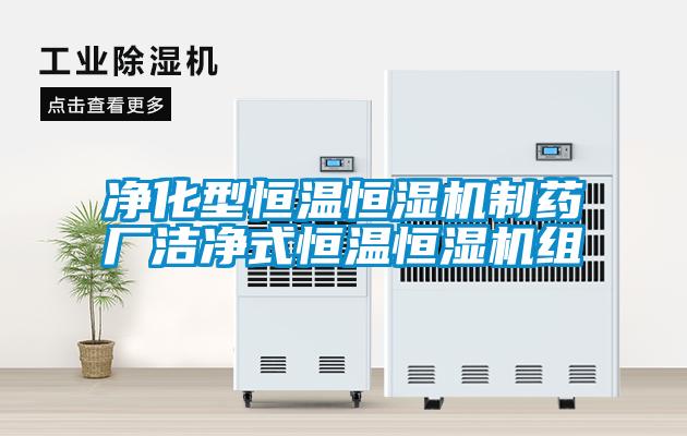 净化型恒温恒湿机制药厂洁净式恒温恒湿机组