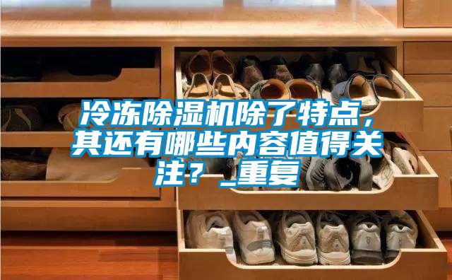 冷冻除湿机除了特点，其还有哪些内容值得关注？_重复