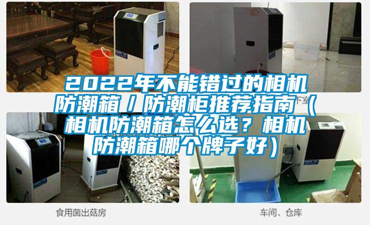 2022年不能错过的相机防潮箱／防潮柜推荐指南（相机防潮箱怎么?。肯嗷莱毕淠母雠谱雍茫?/></p>
						    <p style=