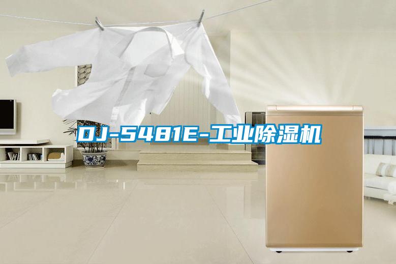 DJ-5481E-工业除湿机