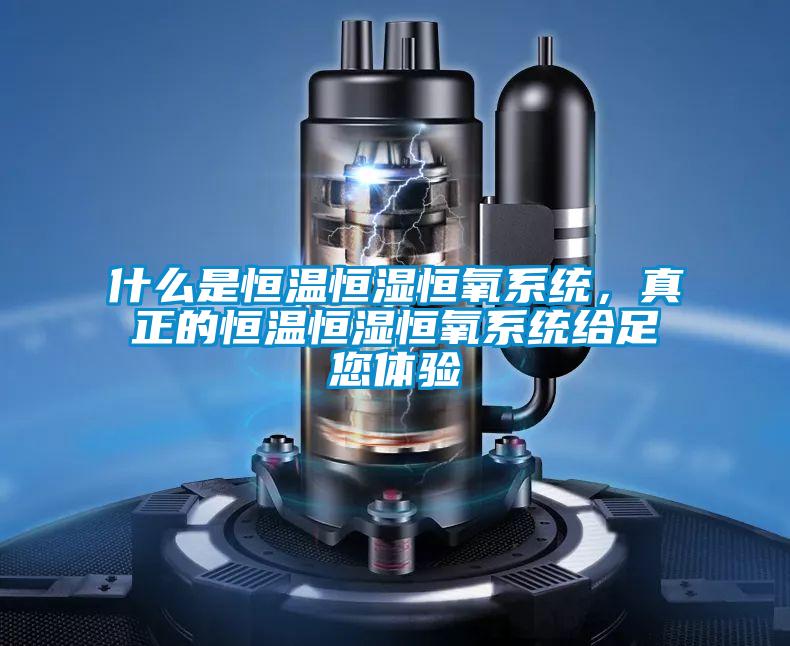 什么是恒温恒湿恒氧系统，真正的恒温恒湿恒氧系统给足您体验