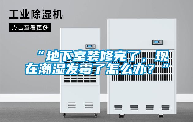 “地下室装修完了，现在潮湿发霉了怎么办？”
