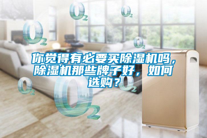 你觉得有必要买除湿机吗，除湿机那些牌子好，如何选购？