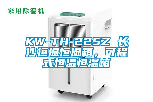KW-TH-225Z 长沙恒温恒湿箱，可程式恒温恒湿箱