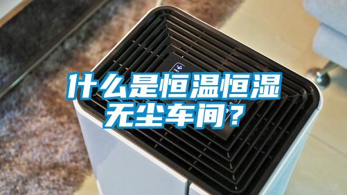 什么是恒温恒湿无尘车间?
