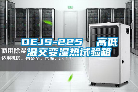 DEJS-225  高低温交变湿热试验箱