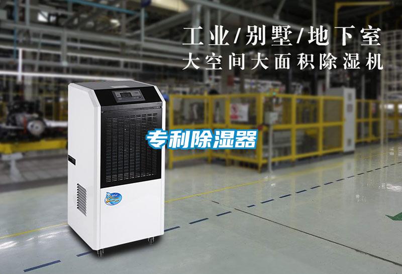 专利除湿器