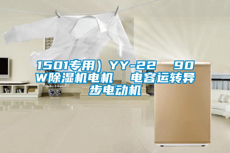 1501专用）YY-22  90W除湿机电机  电容运转异步电动机