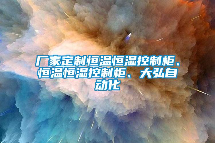 厂家定制恒温恒湿控制柜、恒温恒湿控制柜、大弘自动化