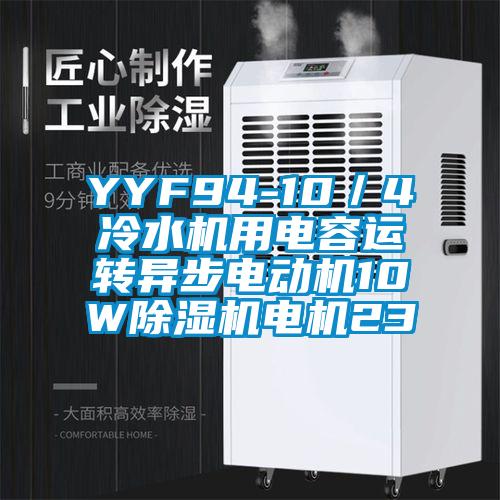 YYF94-10/4冷水机用电容运转异步电动机10W除湿机电机23