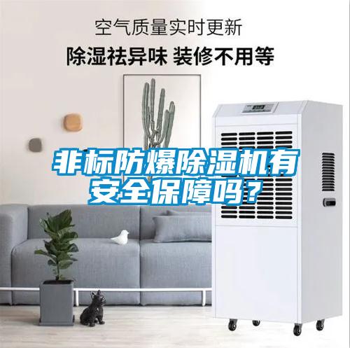 非标防爆除湿机有安全保障吗？