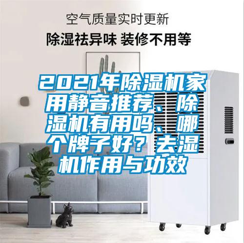 2021年除湿机家用静音推荐、除湿机有用吗、哪个牌子好？去湿机作用与功效