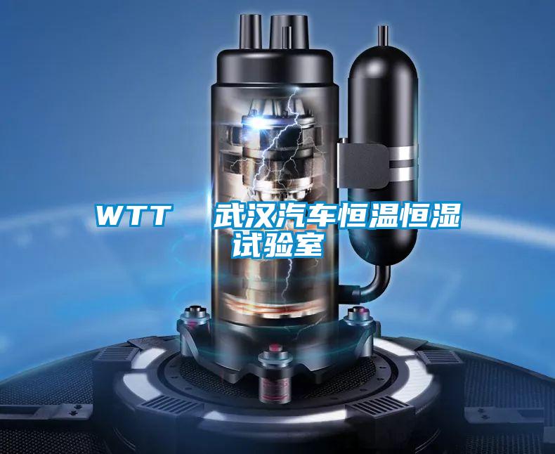 WTT 武汉汽车恒温恒湿试验室