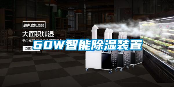 60W智能除湿装置