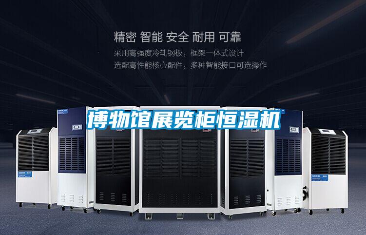 博物馆展览柜恒湿机