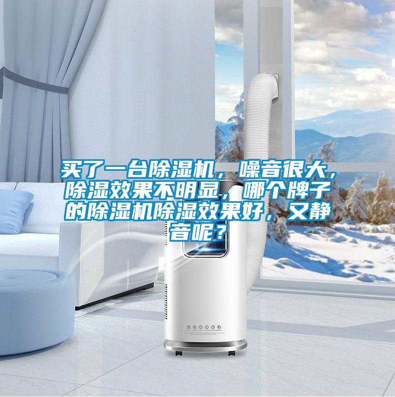 买了一台除湿机，噪音很大，除湿效果不明显，哪个牌子的除湿机除湿效果好，又静音呢？