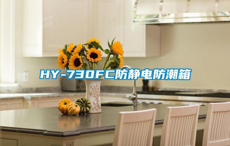 HY-730FC防静电防潮箱