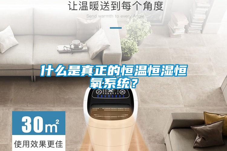 什么是真正的恒温恒湿恒氧系统？