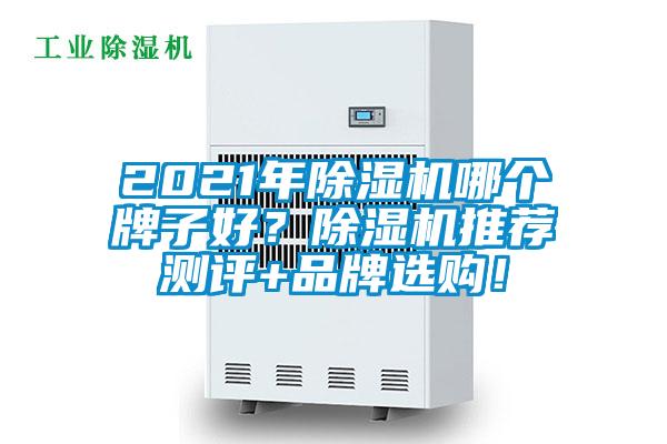 2021年除湿机哪个牌子好？除湿机推荐测评+品牌选购！