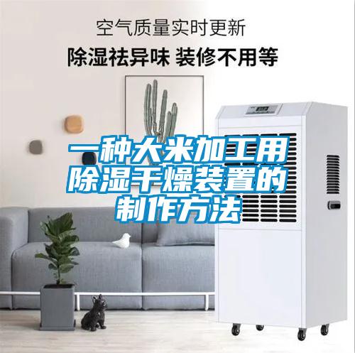 一种大米加工用除湿干燥装置的制作方法