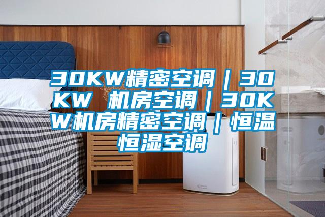 30KW精密空调|30KW 机房空调|30KW机房精密空调|恒温恒湿空调