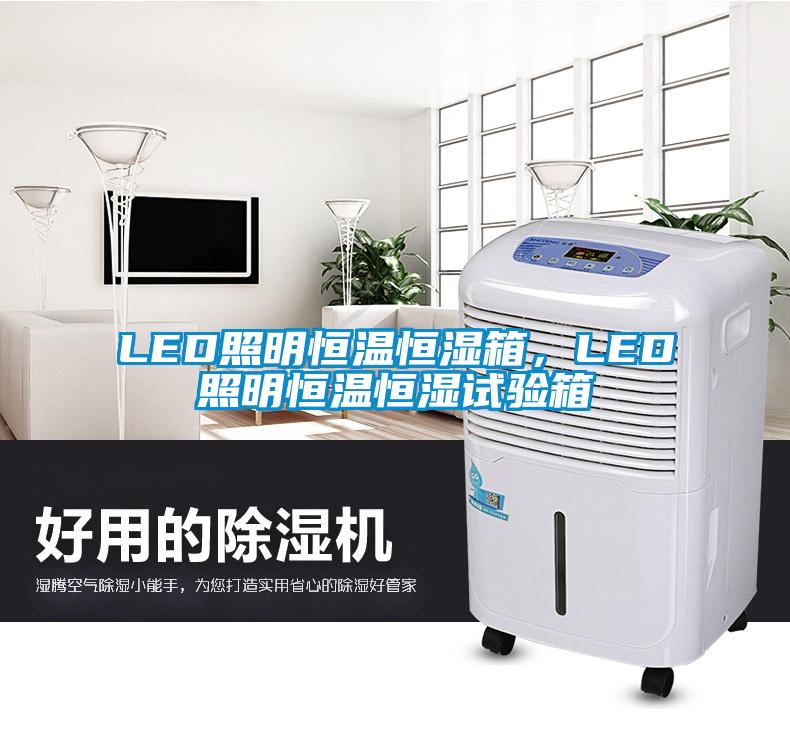 LED照明恒温恒湿箱，LED照明恒温恒湿试验箱
