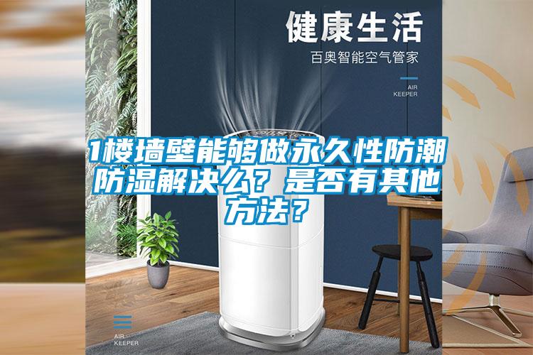 1楼墙壁能够做永久性防潮防湿解决么？是否有其他方法？