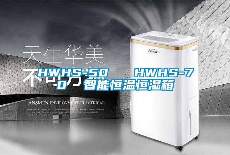 HWHS-50   HWHS-70  智能恒温恒湿箱