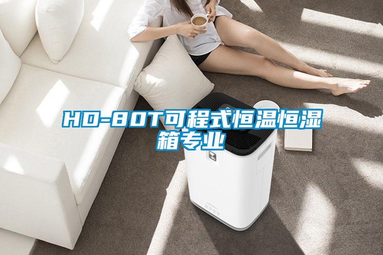 HD-80T可程式恒温恒湿箱专业