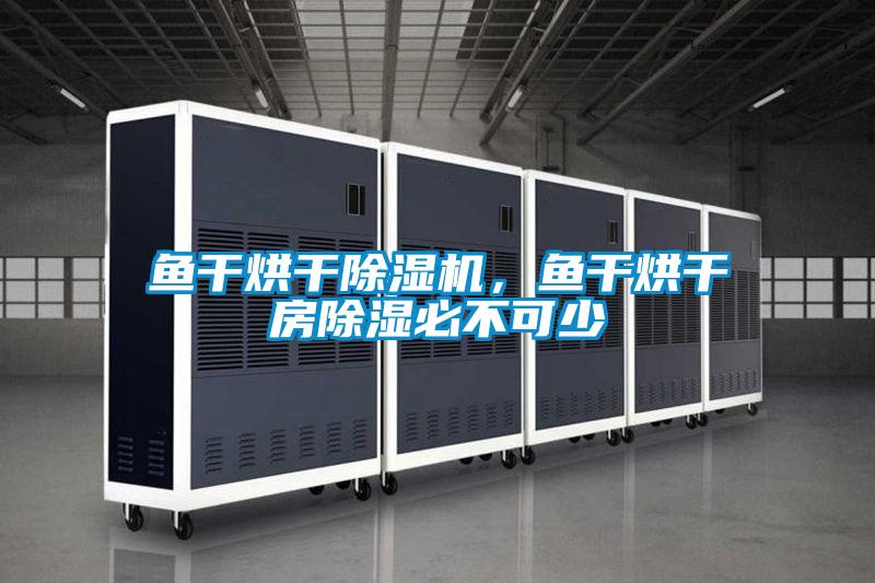 鱼干烘干除湿机，鱼干烘干房除湿必不可少