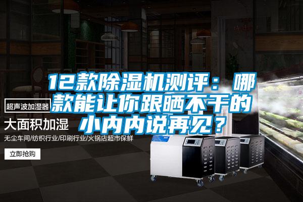 12款除湿机测评：哪款能让你跟晒不干的小内内说再见？