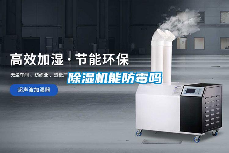 除湿机能防霉吗