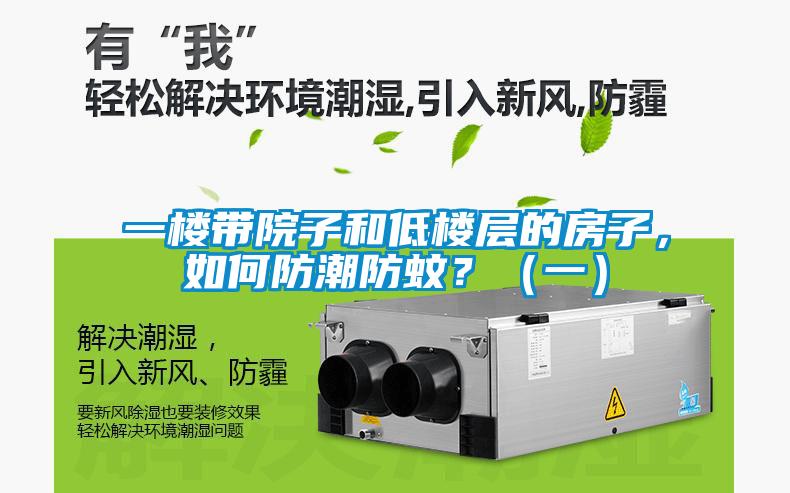 一楼带院子和低楼层的房子，如何防潮防蚊？（一）