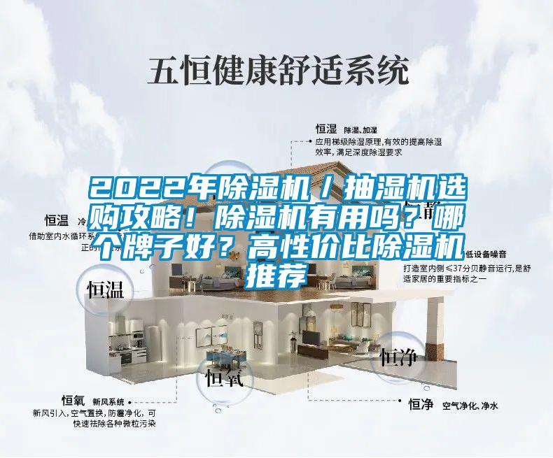 2022年除湿机／抽湿机选购攻略！除湿机有用吗？哪个牌子好？高性价比除湿机推荐