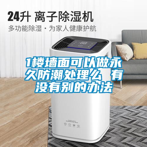 1楼墙面可以做永久防潮处理么 有没有别的办法