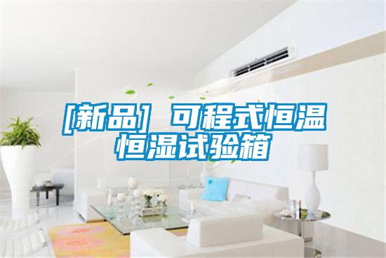 [新品] 可程式恒温恒湿试验箱