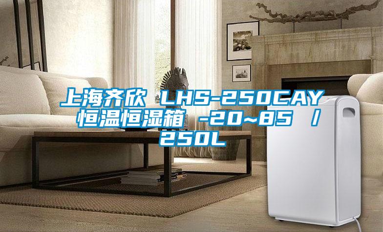 上海齐欣 LHS-250CAY 恒温恒湿箱 -20~85℃／250L