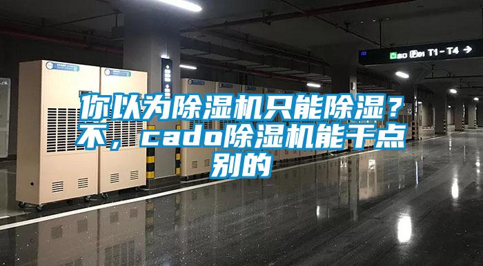 你以为除湿机只能除湿？不，cado除湿机能干点别的
