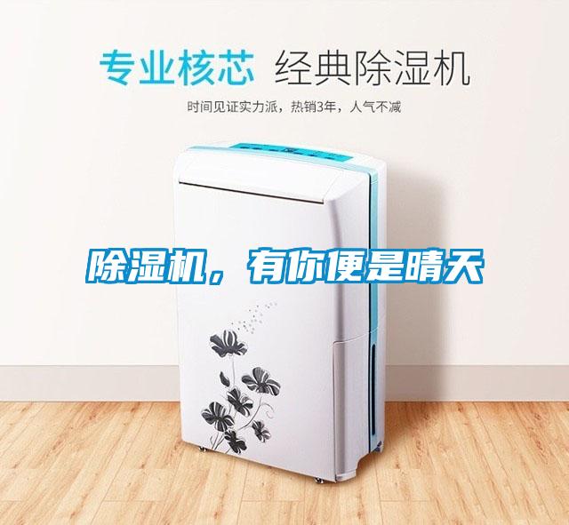除湿机，有你便是晴天