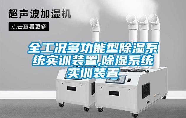 全工况多功能型除湿系统实训装置,除湿系统实训装置