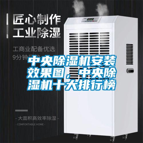 中央除湿机安装效果图，中央除湿机十大排行榜
