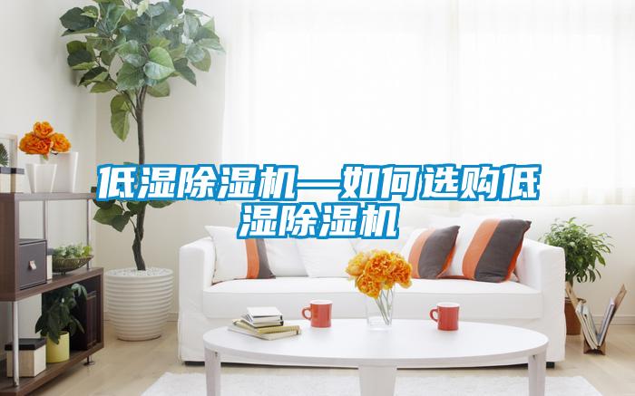 低湿除湿机—如何选购低湿除湿机