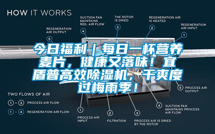 今日福利｜每日一杯营养麦片，健康又落味！宜盾普高效除湿机，干爽度过梅雨季！