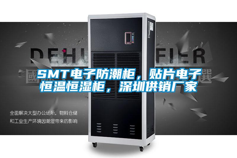 SMT电子防潮柜，贴片电子恒温恒湿柜，深圳供销厂家