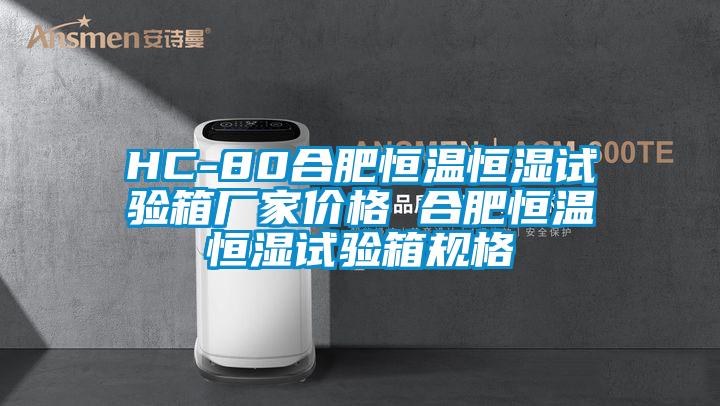 HC-80合肥恒温恒湿试验箱厂家价格 合肥恒温恒湿试验箱规格