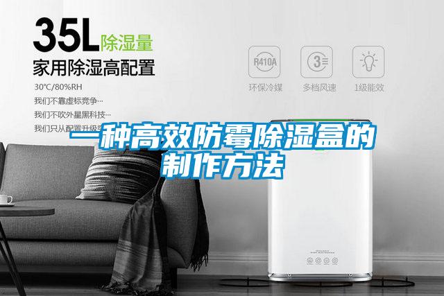 一种高效防霉除湿盒的制作方法