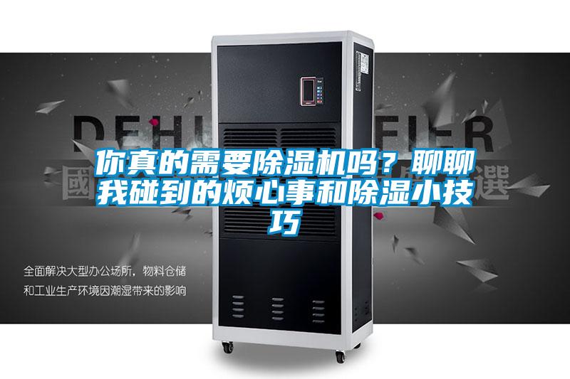 你真的需要除湿机吗？聊聊我碰到的烦心事和除湿小技巧