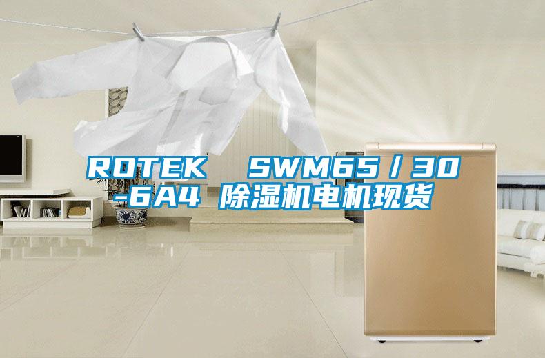 ROTEK  SWM65／30-6A4 除湿机电机现货