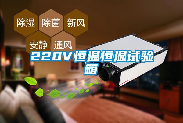 220V恒温恒湿试验箱